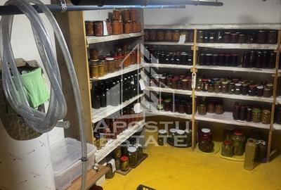 Casă individuală cu 5 camere cu Canalizare în Ghiroda - 18