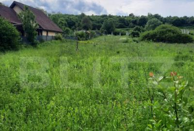 Teren intravilan in Loc. Sutu, in zona Lacurilor de la Ciuri - 3