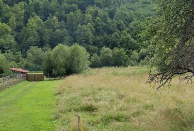 Spațiu comercial, în Poiana Galdei - 1
