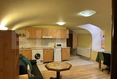 Apartament tip studio, 40 mp, terasa, zona Ultracentrala - 4