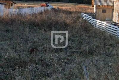 Teren intravilan Poiana Stampei Teren intravilan Poiana Stampei - 3