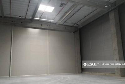 WDP Industrial Park Stefanesti, spatii industriale, 5.000... - 12
