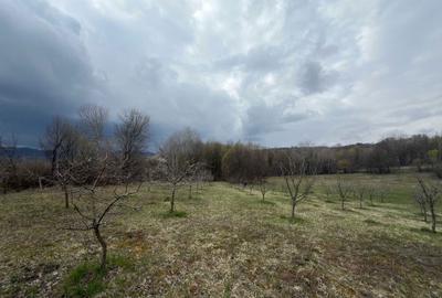 Spațiu comercial, în Bărbulețu - 1