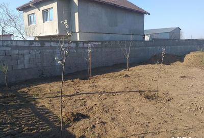 Spațiu comercial, în Lumina