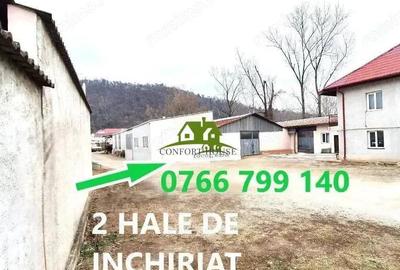 Hala Industriala teren imprejmuit la doar 3 minute de centrul orasului - 2