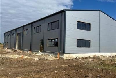 Vanzare Hala Noua Dascalu, plus teren - 9