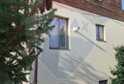 De vanzare vila langa lac la Moara Vlasiei - 35