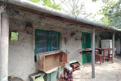 Vind casa in com Ulmu jud Calara?i - 3