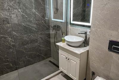 Apartament cu 2 camere decomandat, mobilat în Palazu Mare - 4