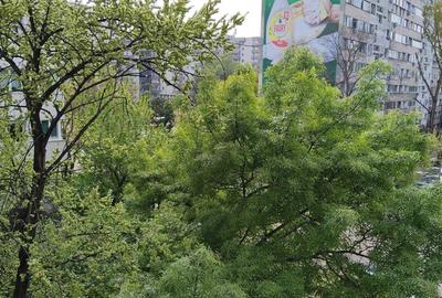 Apartament cu 2 camere semidecomandat în Gorjului - 3