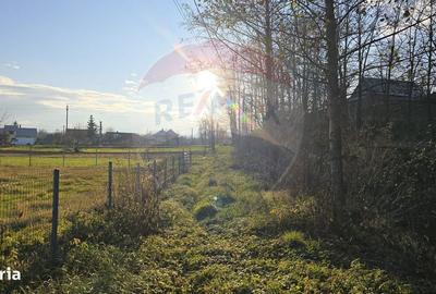 Teren de 10860 mp, în Gălănești - 12