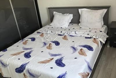 Apartament cu 2 camere decomandat în Kiseleff - 5