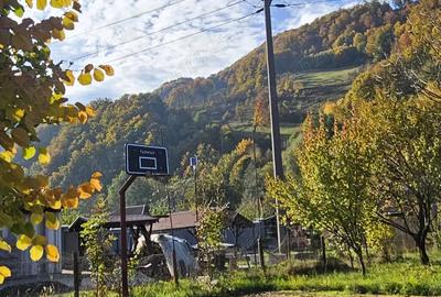 Casă cu 4 camere în Bulz - 5