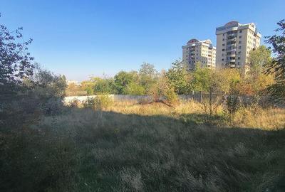 Delta Vacare?ti - Pia?a Sudului - 15