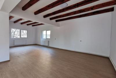 Dobroesti 5 Camere Vila La Curte - 12