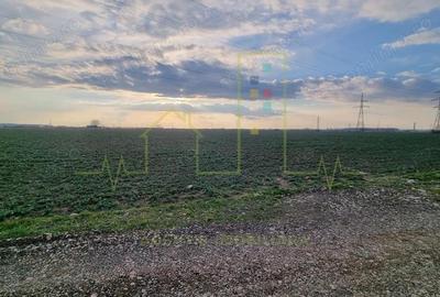 Parcela teren in zona industriala Freidorf. - 2