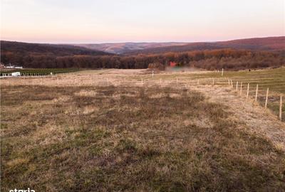 Spațiu comercial, în Central - 7