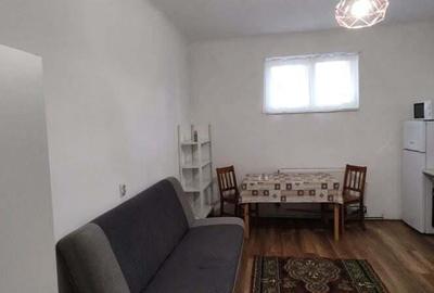 7 Noiembrie - Inchiriere apartament 1 camera - B-dul 22 Decembrie 1989 - 2