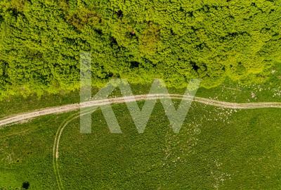 Teren agricol extravilan de 1500 mp, în Codlea - 5