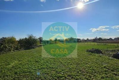 Casă cu 5 camere cu Teren 2000 Mp în Cotu Vameș - 3