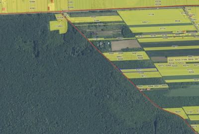`Teren cu dubla deschidere, langa padure, Snagov - Strada Pa - 2