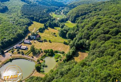 Teren de 2737 mp, în Dobârlău - 4