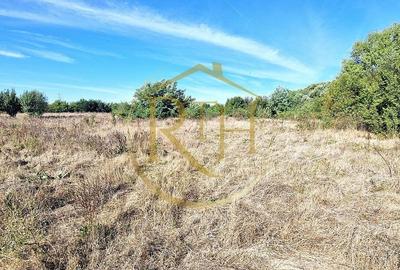 Teren de vânzare - 11.273 mp - zona Plopi, Timișoara Sud. Teren de vânzare - 11.273 mp - zona Plopi, Timișoara Sud. - 1