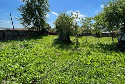 Casă cu 4 camere cu Teren 3600 Mp în Ciovârnășani - 7