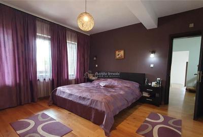 Casa individuala - 250 mp anexa - 10 ari teren - Scheia - 36