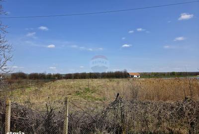 Spațiu comercial, în Boțești - 2