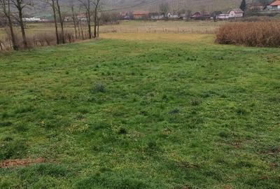 Casă cu 3 camere cu Teren 3629 Mp în Boian - 1