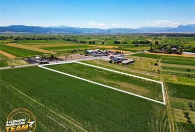 8.400mp, la DN12, cu Certificat Urbanism, teren intravilan,