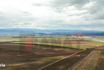 Teren de 50400 mp, în Șura Mică