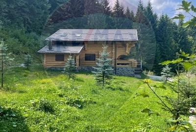 Cabana in inima muntilor,acces la partia de schi din Borsa,teren2200mp Cabana in inima muntilor,acces la partia de schi din Borsa,teren2200mp - 19