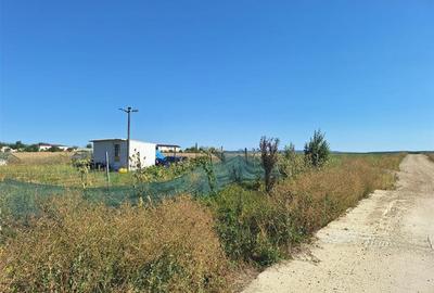 Teren Construcții intravilan de 728.17999267578 mp, în Oșorhei - 6