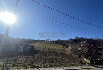 Teren Construcții de 5300 mp, în Centura - 1