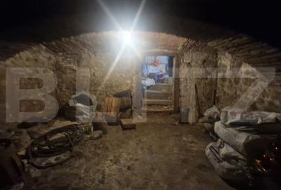 Trei corpuri Casa ,Centrul vechi , strada asfaltata, circulata, 1360 mp teren - 15