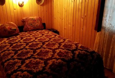 Casă cu 3 camere în Cărbunari - 1