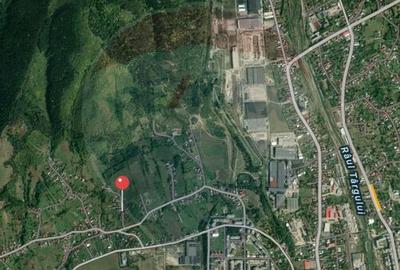 Casă cu 20 camere cu Teren 4563 Mp în Bughea de Sus - 3