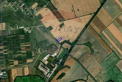 Teren intravilan 2188 mp de vanzare in Cefa, Bihor - 2