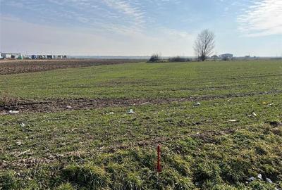 Teren Construcții intravilan de 5985 mp, în Nojorid - 8