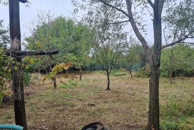 Casa de vanzare la tara - 10