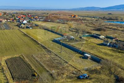 Teren agricol intravilan de 5000 mp, în Prejmer - 10