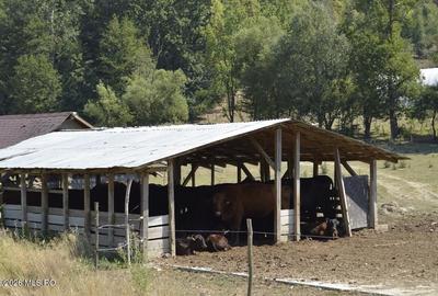 Bogati - Glimbocel, Ferma Zootehnica, Cladiri 1996 mp, Teren 4.89 ha - 16