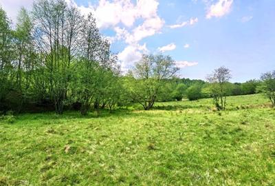 25.000 mp TEREN IDEAL AFACERE TURISM – AMENAJARE LAC DE PESCUIT, CIUCEA - CLUJ - 26