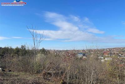 Teren de zona Bididia Tulcea - 4