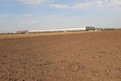 Ilfov Teren, zona industriala, in Domnesti. Tarlaua 7, depozitele Logistics Park, A1 - 11