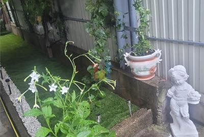 Casa 5 camere, suprafata teren 200 mp, zona Piata Saraca - 16