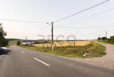 RECO Teren intravilan pentru casa Lazareni