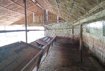 Spațiu comercial, de 317 mp, în Nădlac - 9